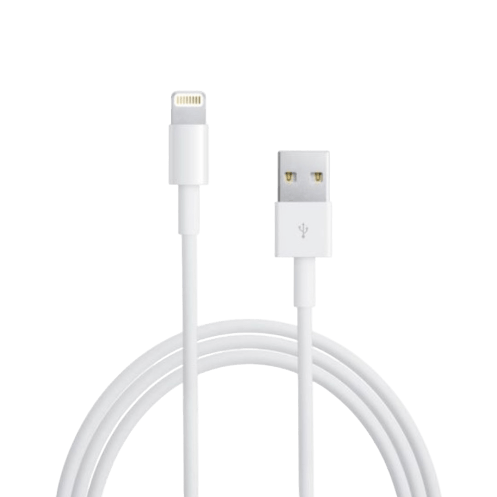 Apple Lightning to USB Cable (1 m)