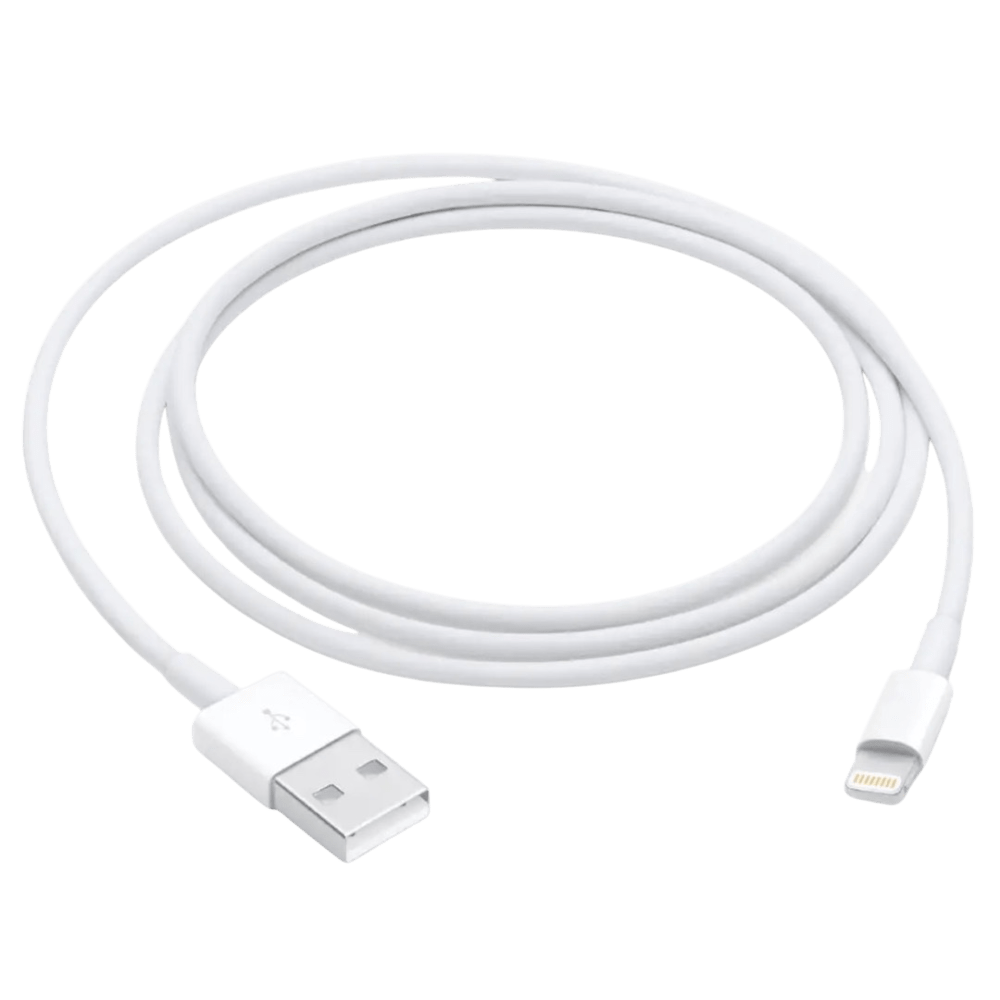 Apple Lightning to USB Cable (1 m)